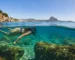 Snorkel en Altea: una forma fácil de descubrir el Mediterráneo desde el agua